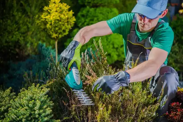 landscaping services Morrill